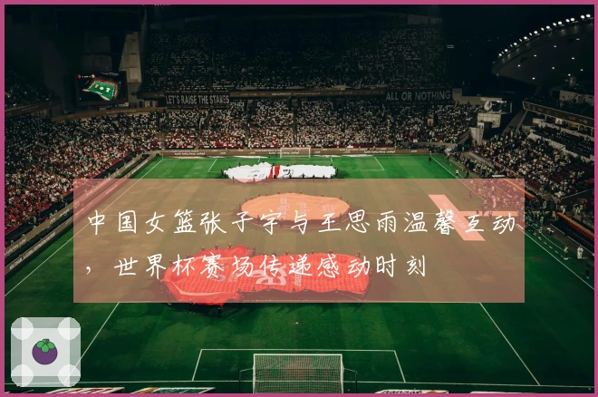 中国女篮张子宇与王思雨温馨互动，世界杯赛场传递感动时刻