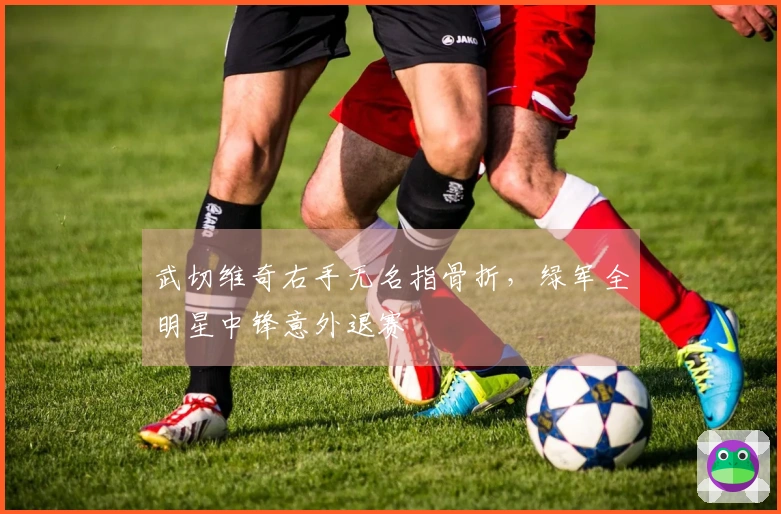 武切维奇右手无名指骨折，绿军全明星中锋意外退赛