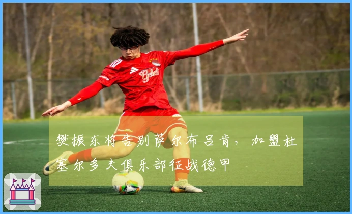 樊振东将告别萨尔布吕肯，加盟杜塞尔多夫俱乐部征战德甲