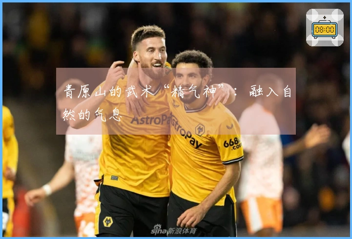 青原山的武术“精气神”：融入自然的气息