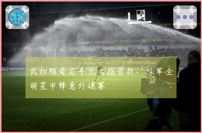 武切维奇右手无名指骨折，绿军全明星中锋意外退赛