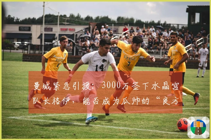 曼城紧急引援：3000万签下水晶宫队长格伊，能否成为瓜帅的“良方”？