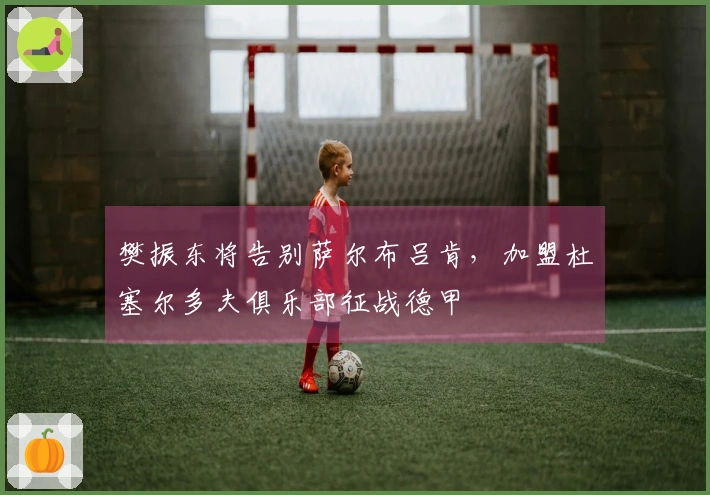 樊振东将告别萨尔布吕肯，加盟杜塞尔多夫俱乐部征战德甲