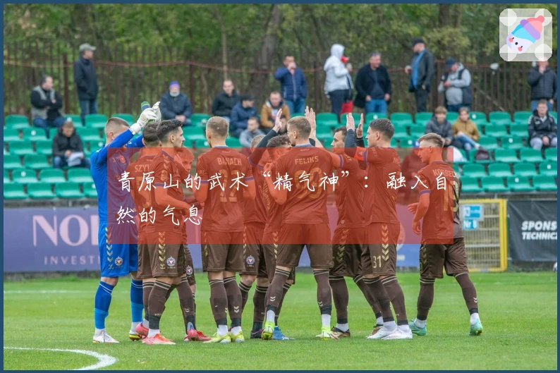 青原山的武术“精气神”：融入自然的气息